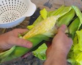 How to Make Paper from Corn 