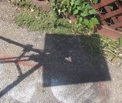 The cardboard shadow