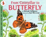 Butterfly book