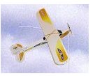 RC Airplane