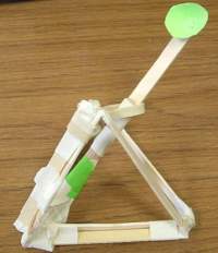 Toms Catapult