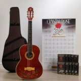 Esteban Classical electric kit