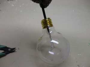 A miniature terrarium in a lightbulb