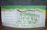 A rainforest diorama