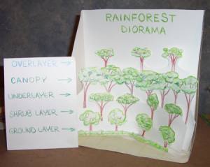 RainForest Diorama