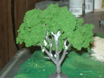 miniature tree