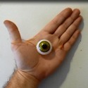 Eye in hand