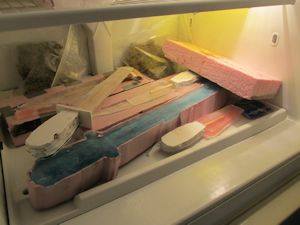 swords and knives in the freezer