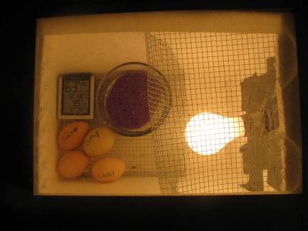  .com/how-to-make-a/how-to-make-a-homemade-egg-incubator.htm