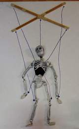 The skeleton marionette strings