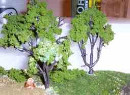 Various miniature trees