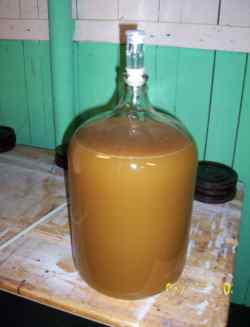 Mead in carboy fermenting