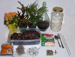 terrarium materials