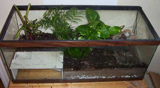 the ultimate terrarium is completed