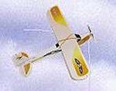 RC Airplane