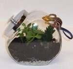 A Terrarium for kids