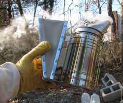 A bee smoker in operation