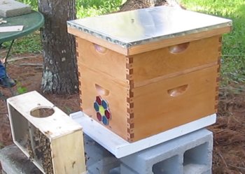The completed and installed beehive