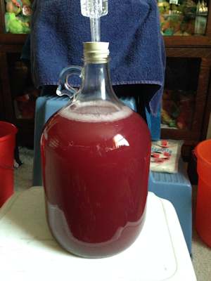 Blueberry mead