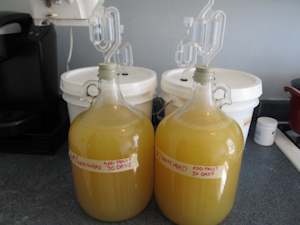 Two carboys of fermenting mead