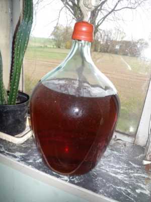 Mead in a beautiful carboy