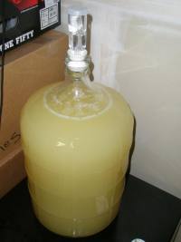 Mead Picture 1