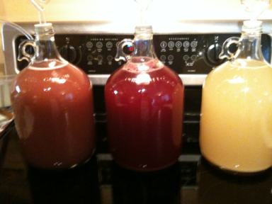 Three different types of mead fermenting