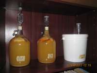 Three batches of fermenting mead