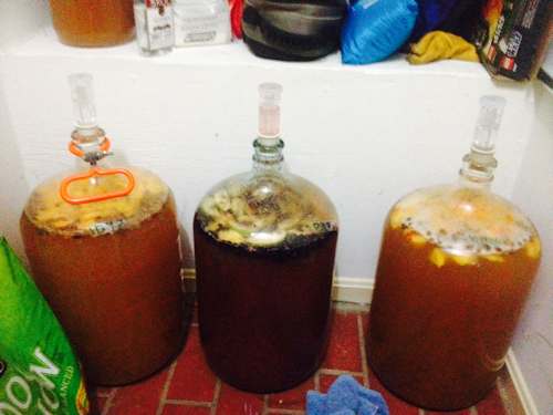 Three batches of mead Mango and cranberry