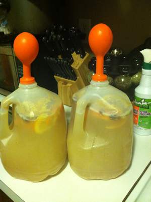 Two gallons of mead