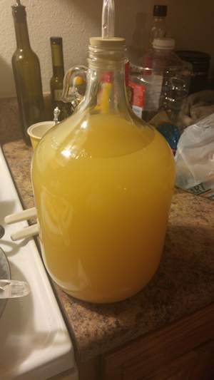 A batch of mead
