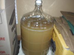 Mead carboy