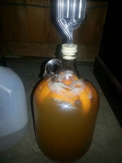 A gallon of fermenting mead