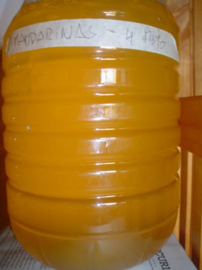 A carboy of fermenting mead