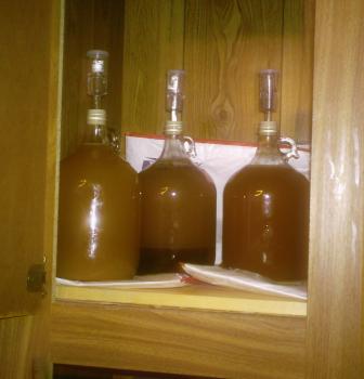 Three jugs of fermenting mead