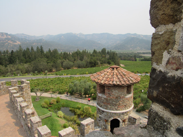 A view of the vinyard