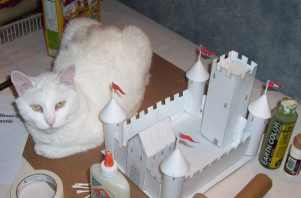 The cat and the castle