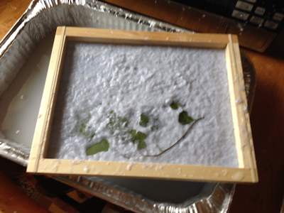Add leaves to the paper pulp