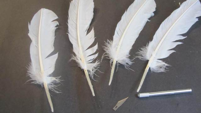 Feathers