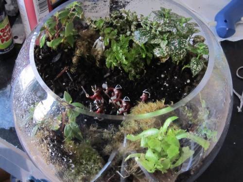 Large image of the completed Assassin's Creed Terrarium