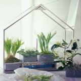 The Smeg Home Garden terrarium
