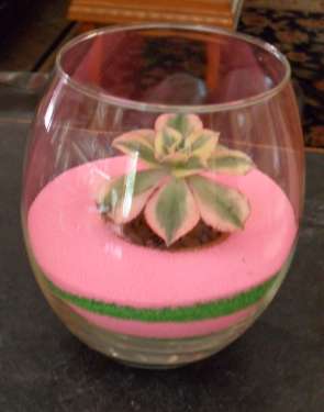 A simple colored sand terrarium