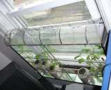Window vivarium