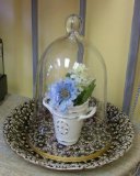 Cloche with dish