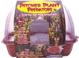 Pitcher Plant Terrarium