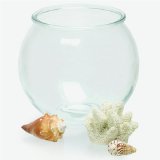 Fish Bowl