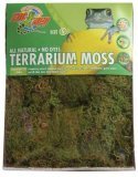 Green Terrarium Moss