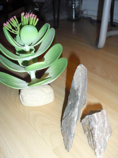 Artificial plant and stone