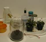 Micro Terrarium Materials