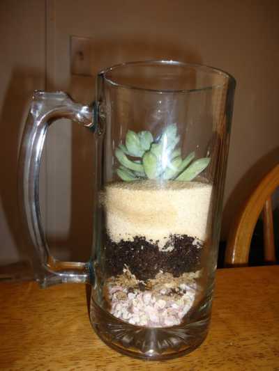 Terrarium in a glass mug
